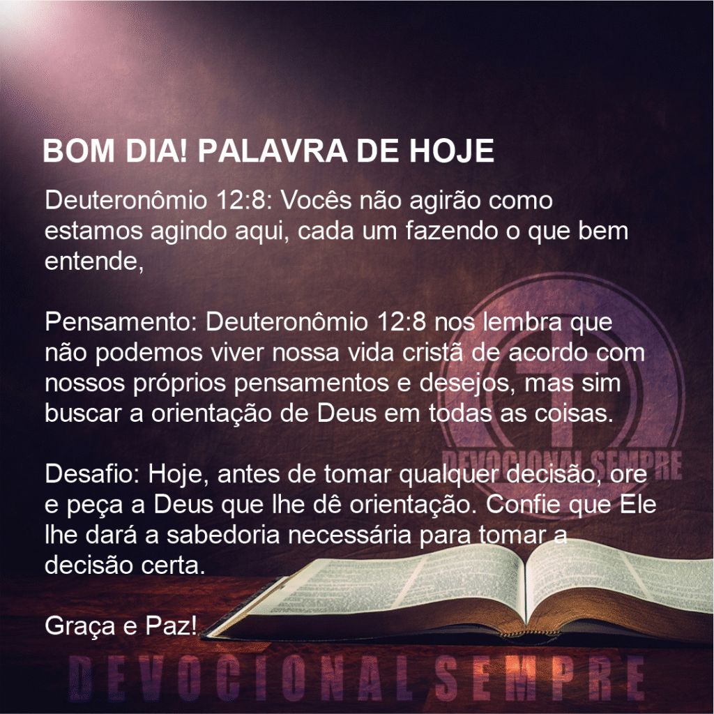 Não Faça o que Bem Entende