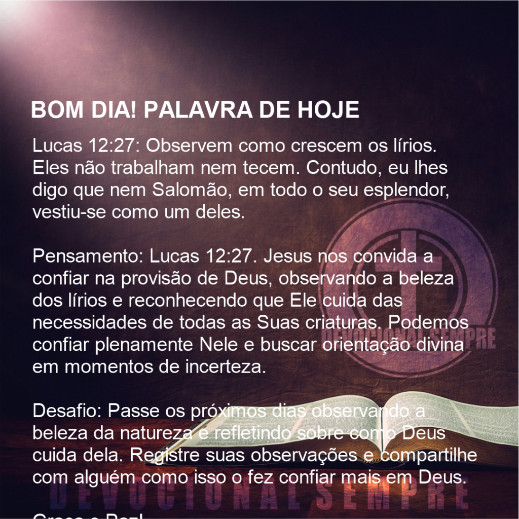 Beleza Divina nos Lírios